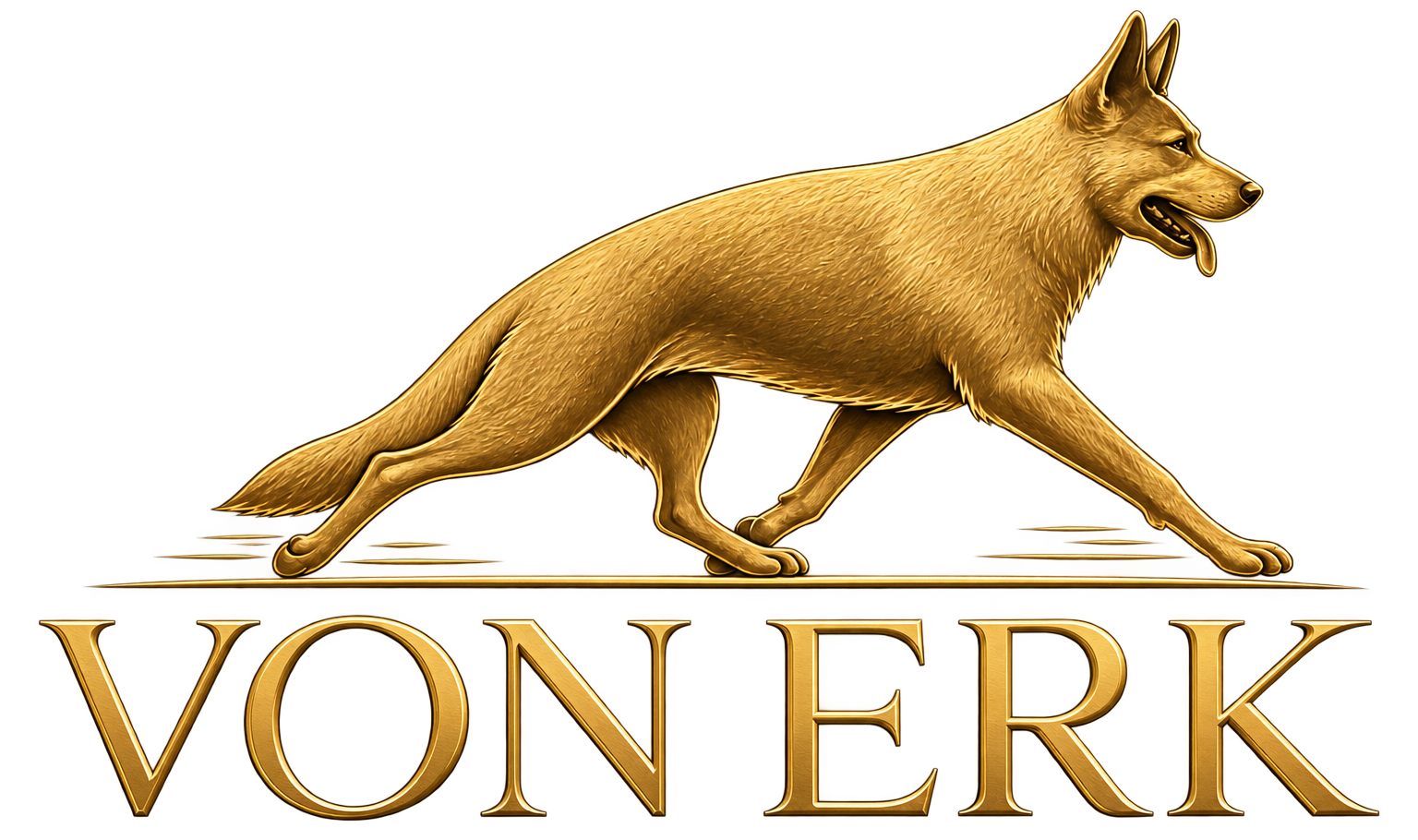 von erk original logo şeffaf